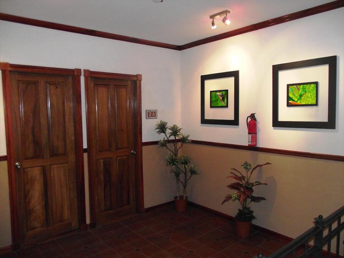 Boutique Hotel Calle 20 San José Dış mekan fotoğraf
